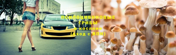 герыч Богородск
