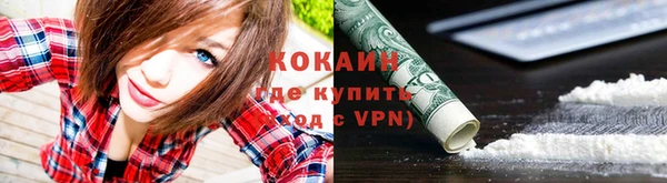 гашиш Богданович