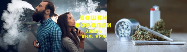 гашиш Богданович