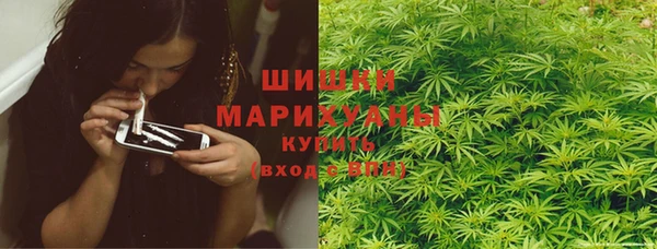 гашиш Богданович